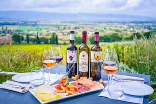 Farm to Table Light Lunch and Wine Tasting in Assisi Countryside