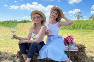 Exclusive Vineyard Picnic in Monferrato with Local Wines