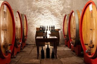 Authentic Italian Wine Tasting and Winery Tour in Foggia