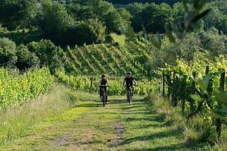 From Lucca Tour In E Bike And Wine Tasting In Chianti