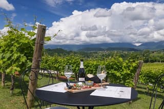 Tour and tasting in the hills of Prosecco Superiore DOCG