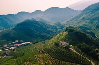 Luxury Prosecco Wine Tasting Full-Day Private Tour from Venice