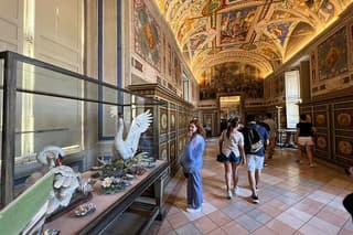 Vatican Museum & Sistine Chapel guided tour Optional Basilica.