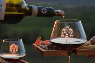 Winery tour with panoramic aperitif in Chianti