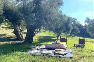 Taste Truffles, Wine & Aperitif in Matera’s Scenic Countryside