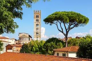 Explore Lucca in 60 minutes with a Local