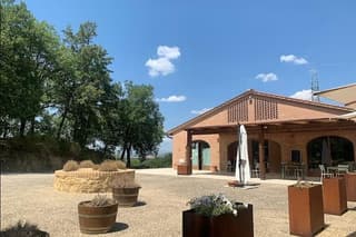 Winery Tour and Tuscan Lunch with Wine Tasting in San Gimignano