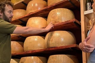 Parma Food Tour with Sightseeing and Parmesan Tasting