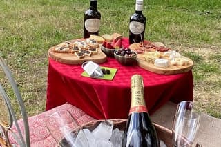 Matera: Truffle & Champagne Aperitif under Ancient Olive Trees