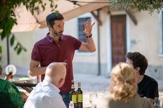Soave Wine Tasting and Vineyard Tour