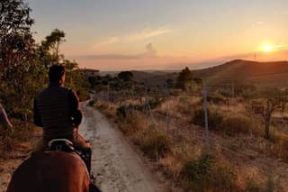 Cagliari Panoramic Horseback Riding