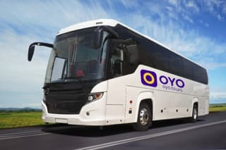 Bus Transfer from Civitavecchia Cruise Port to Rome Airport