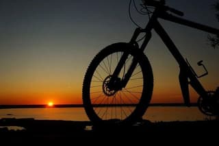 Pisa: Self-Guided Bike Tour to Lake Massaciuccoli