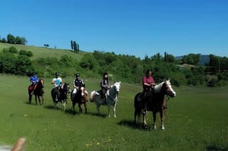 Horseback Ride with Lunch at a Farmhouse in Vergato