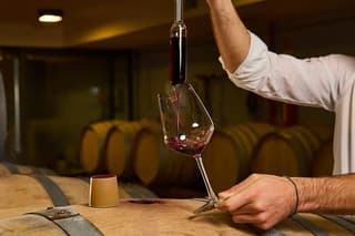 Wine Tasting in an Authentic Tuscan Cellar in Radda in Chianti