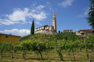 Discover the Charm of the Prosecco Hills from Venice
