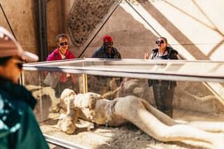 Naples: Pompeii & Herculaneum Day Trip – Small Group Tour