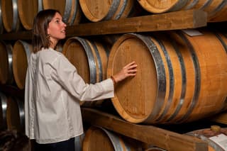 The Secrets of the Cellar