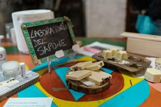 Donkey Milk Soap Workshop in Laterza with Transfer from Matera