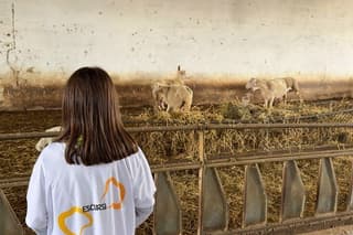 Visit A Dairy farm With Cheese Tasting in Villanova Monteleone