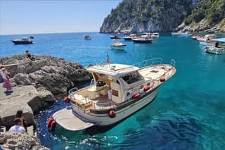 From Sorrento or Positano: Private Capri Tour with Fratelli Aprea