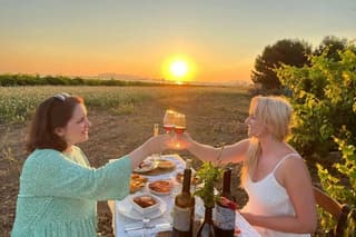 Sunset Picnic Among the Vineyards in Marsala