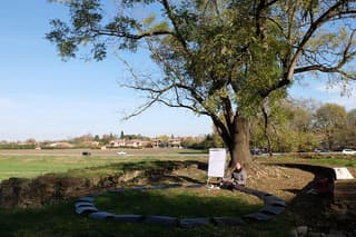 Philosophical dialogue on the walls of Ferrara