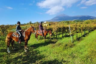 Horseback Riding on Mt. Vesuvius with Wine Tasting and Dinner