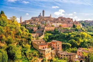 Wine Experience in Montalcino and Siena