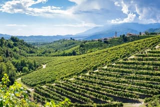 Valdobbiadene PROSECCO Private Tour and Taste with Sommelier