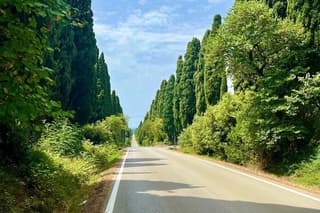 SuperTuscan Wines private tour from Lucca Pisa or Livorno Port