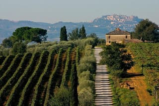 Wine lovers experience in Montepulciano: full day