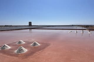Private Tour Segesta Erice and Trapani Salt Pans