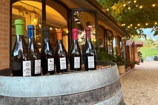 Tasting of Craft Beers in Tuscany