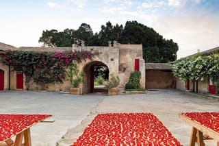 Noto Baroque and Tasting in Ancient Palmento among Vineyards