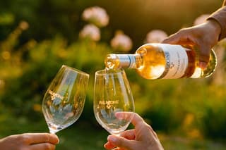 Private Orvieto Cooking Class and Iconic Wine Tasting from Rome