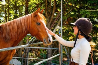 Tuscan Chianti Hills Horseback Riding Tour
