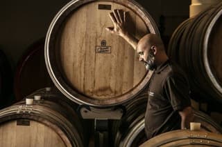 Half Day Wine Experience Tour from Ravenna