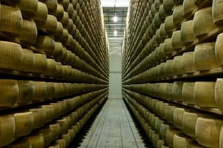 Ferrari Museums and Cheese Factory with Lunch