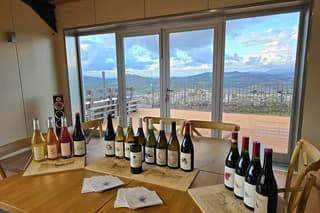 Camporeale Wine Tasting and Vineyard Tour