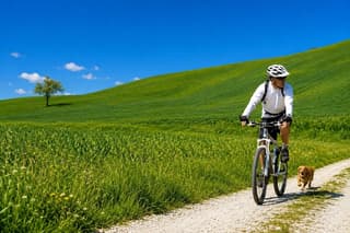 Siena: Chianti Guided E-Bike Tour with Lunch & 2 wine tastings