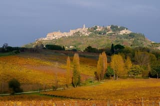 Private tour Wine and cheese a perfect combinations val 'Orcia