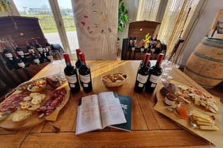 Guided Winery Visit and Wine Tasting at Ornella Bellia