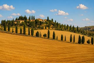 Castles & Chianti Wine Experience– Small Group from San Gimignano