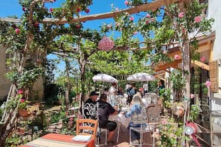 Guided walk in the Verona hills with seasonal vegetarian meal