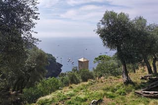 Camogli to San Fruttuoso Deep Nature Trek and Stunning Sea Views
