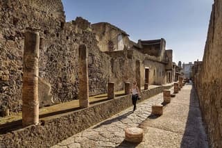 Naples: Pompeii, Herculaneum and Vesuvius Day Trip - Private Tour