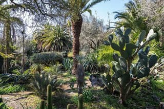 Tour of the historic garden Parco Paternò del Toscano