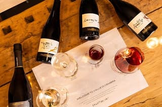 Discover the Cembra Valley in 4 Wines and Snacks of Taralli