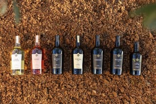 Maremma Wine Experience: 5 Wines & Local Specialties